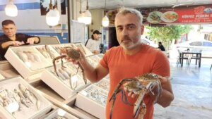 iskenderunda jumbo karides fiyatlari dusuyor frtT45wO.jpg