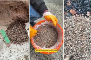 turkiyenin oteki gundemi son virajdayiz diyen vatandastan endiselendiren sozler ng8JtVBs.jpg