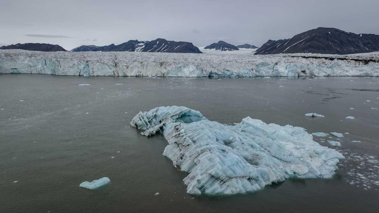 baliklarin yaptigi geometrik desenler kesfedildi HXXMKPIH.webp